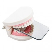Intra-Oral Photography Mirrors 